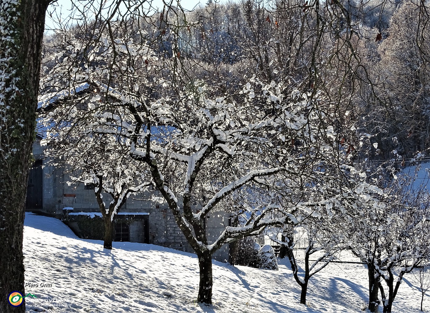 16 La neve si sta sciogliendo al sole.JPG